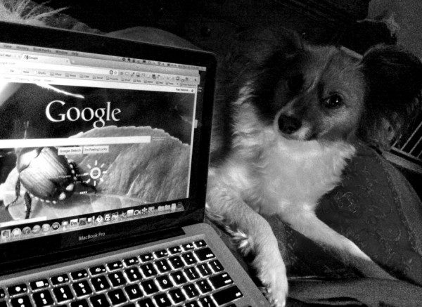 20110330-073105.jpg