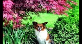 20130506-125224.jpg