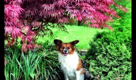 20130506-125224.jpg