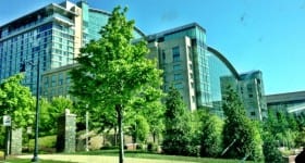 20130516-082157.jpg