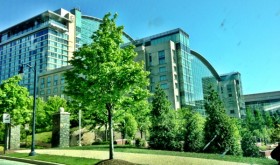 20130516-082157.jpg