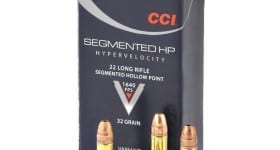 22ammo