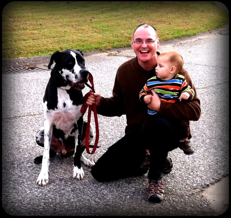 Daniel meets his first Great Dane!