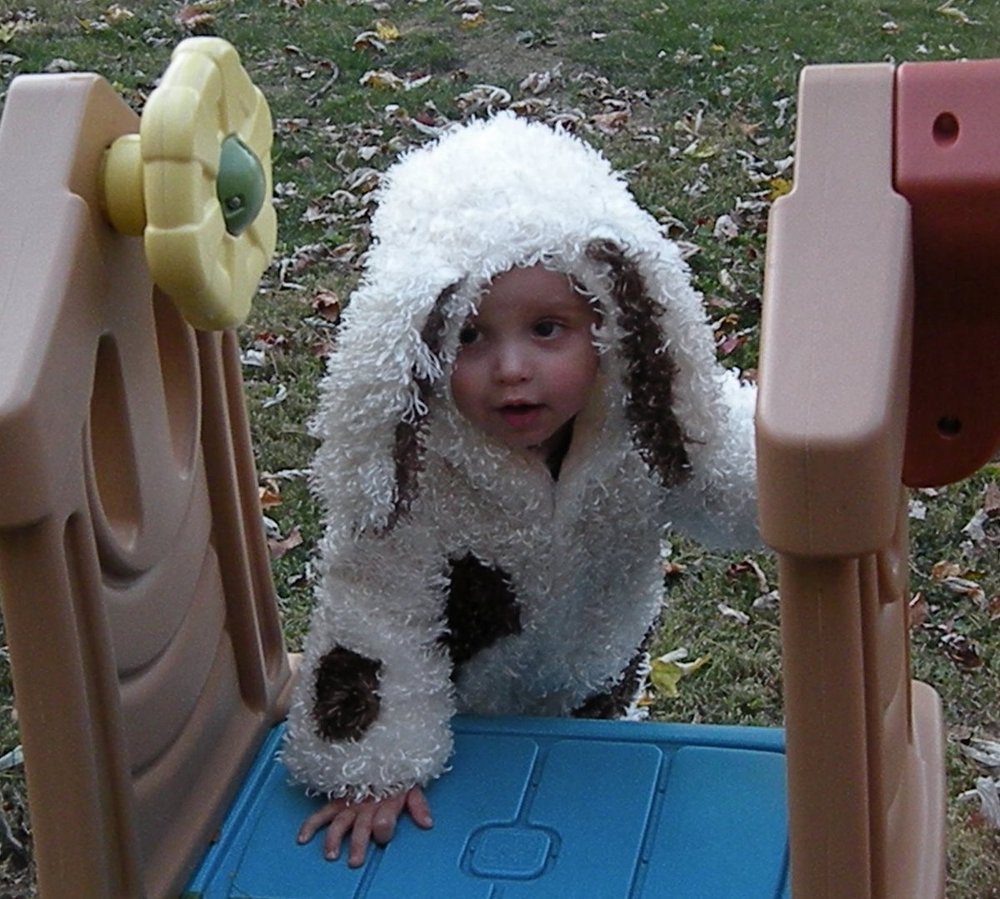 Daniel’s Halloween: Dogs in the Yard