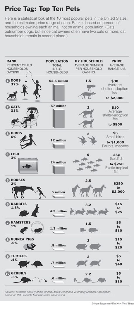Price Tag of the Top Ten Pets [infographic]