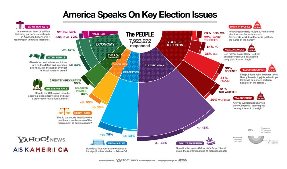 10 Questions, 8 Million Respondents, 1 Giant Election Infographic