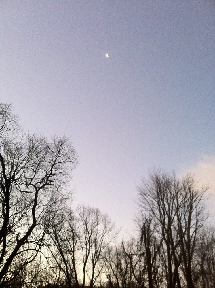 Backyard skyscape this morning. Dramatic change in just 15 minutes!