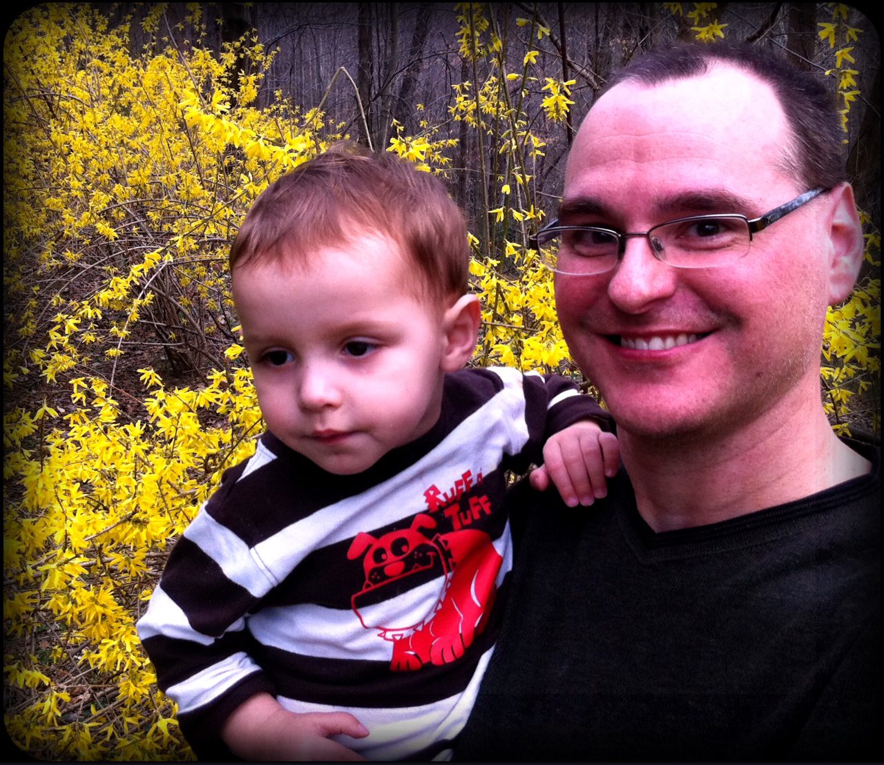 Daniel vs Forsythia