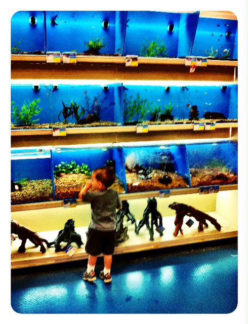 Big day at the zoo ( PetsMart)