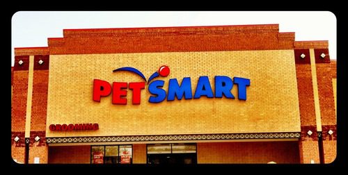 Daniel’s Day at the ‘Zoo’ (PetsMart)