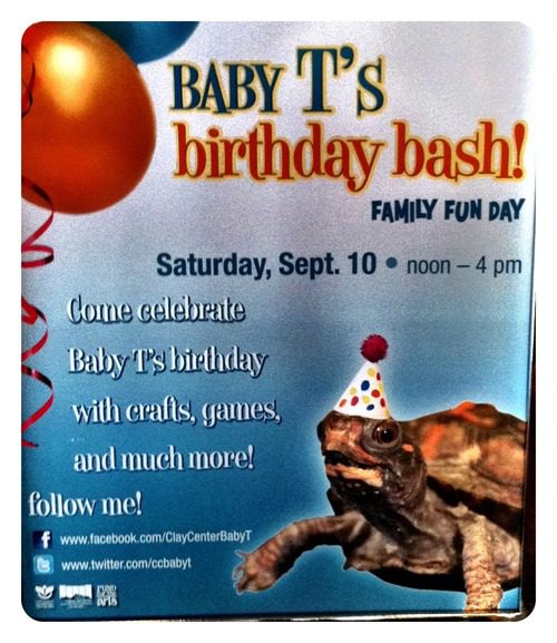 Baby Turtle Birthday Party at Clay Center