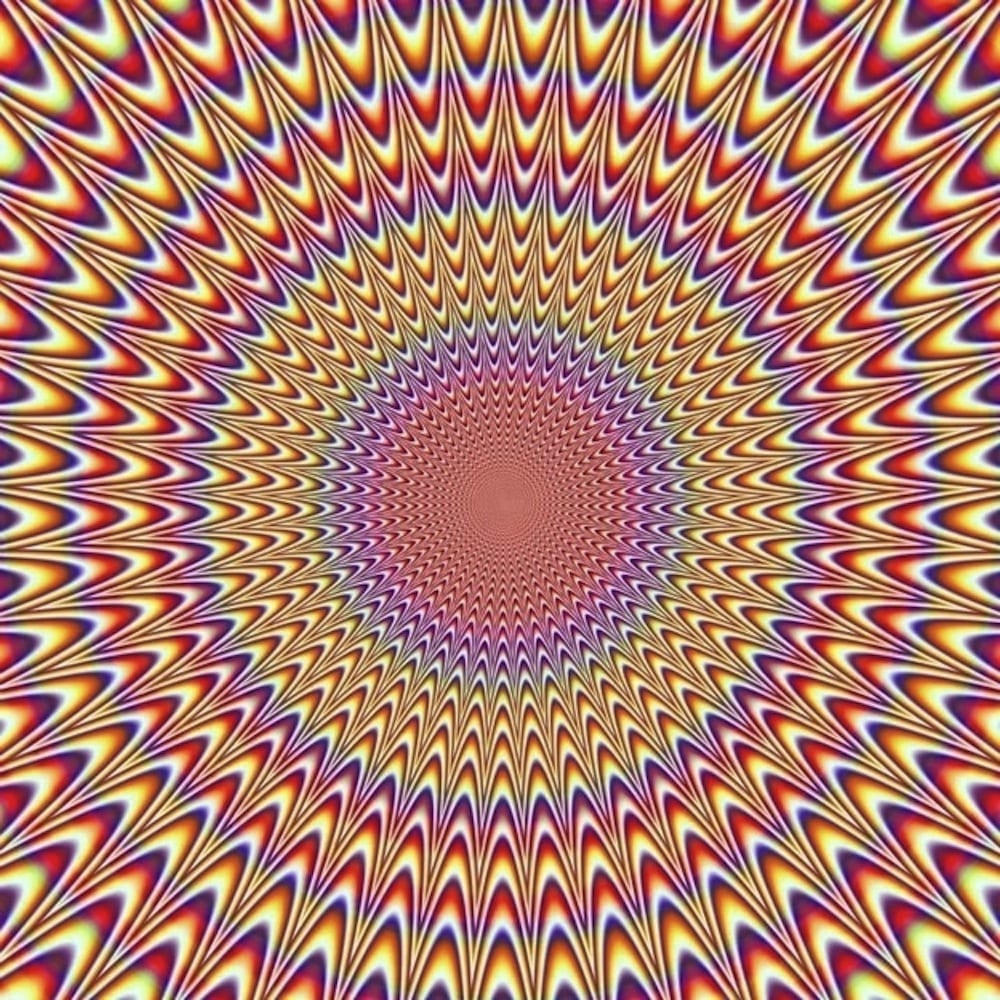 Stop Moving!! (Illusion)