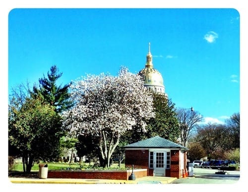 WV’s Capitol was beautiful today!