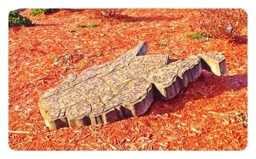 West Virginia Rocks!