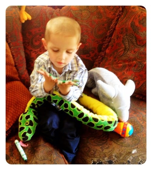 Daniel vs Green Magic Marker – Who Won?