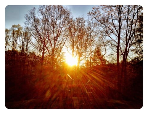 Backyard Sunrise