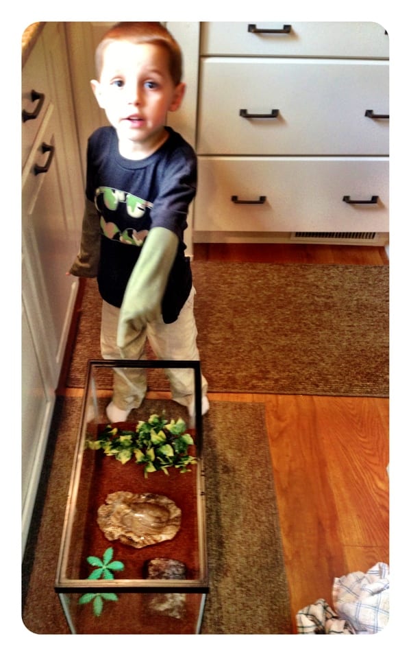 New Dirt for Froggy – Daniel help clean up the aquarium