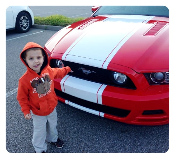 Daniel says ‘Look Daddy it’s a Horse’ oh how I would like to have this one in my stable!