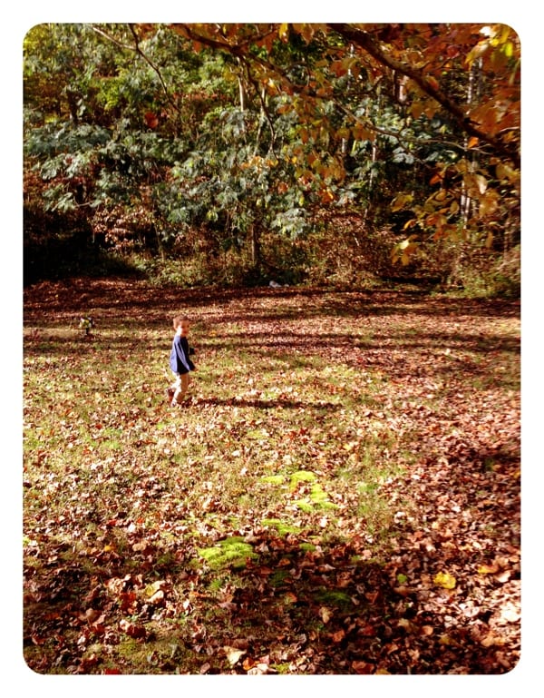 Little boy. Big yard.