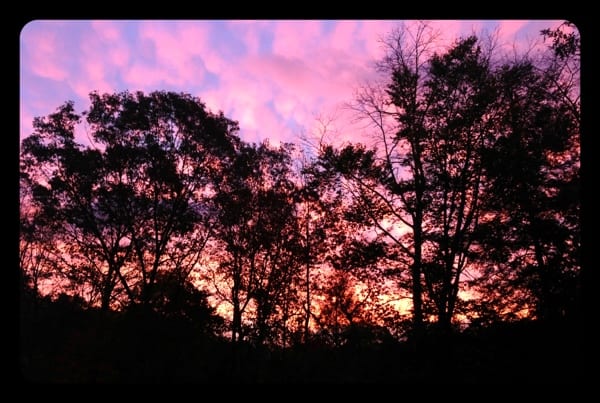 Beautiful Backyard Sunrise Today
