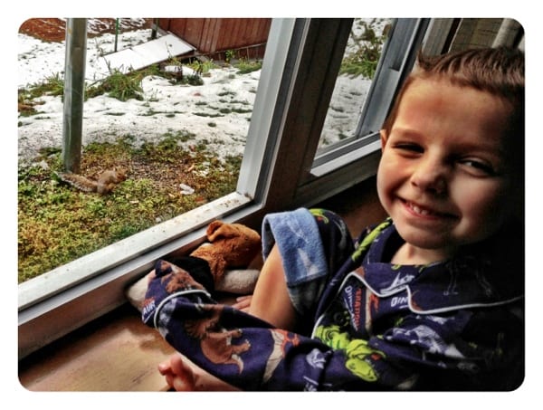 Daniel watching a squirrel at my grandparents house