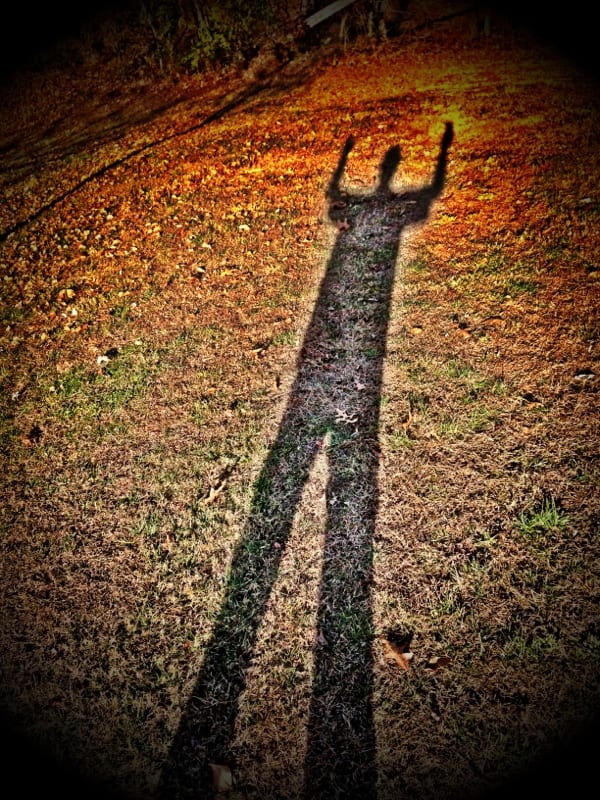 The Shadow!