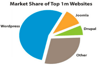 Where WordPress fits in the website world