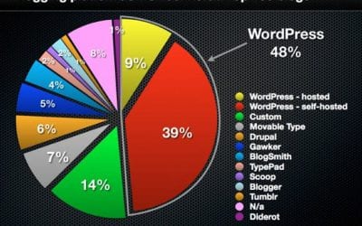 WordPress Dominates The World’s Top 100 Blogs