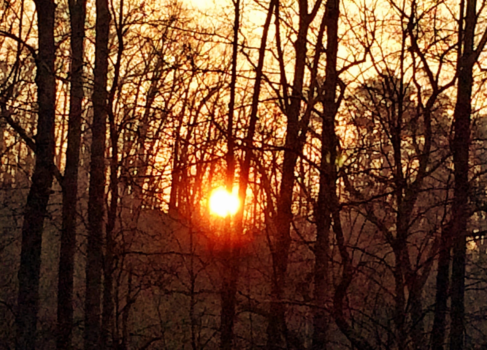 Backyard sunrise this morning.