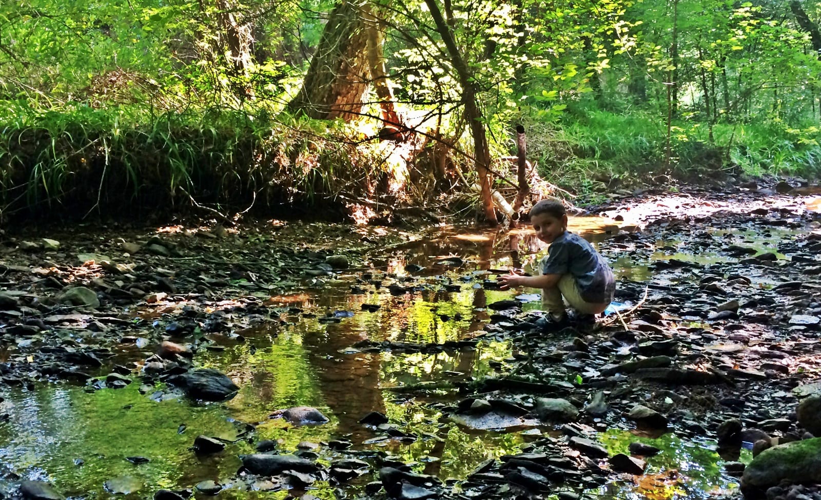 Catching critters in the creek. Best Saturday morning ever.