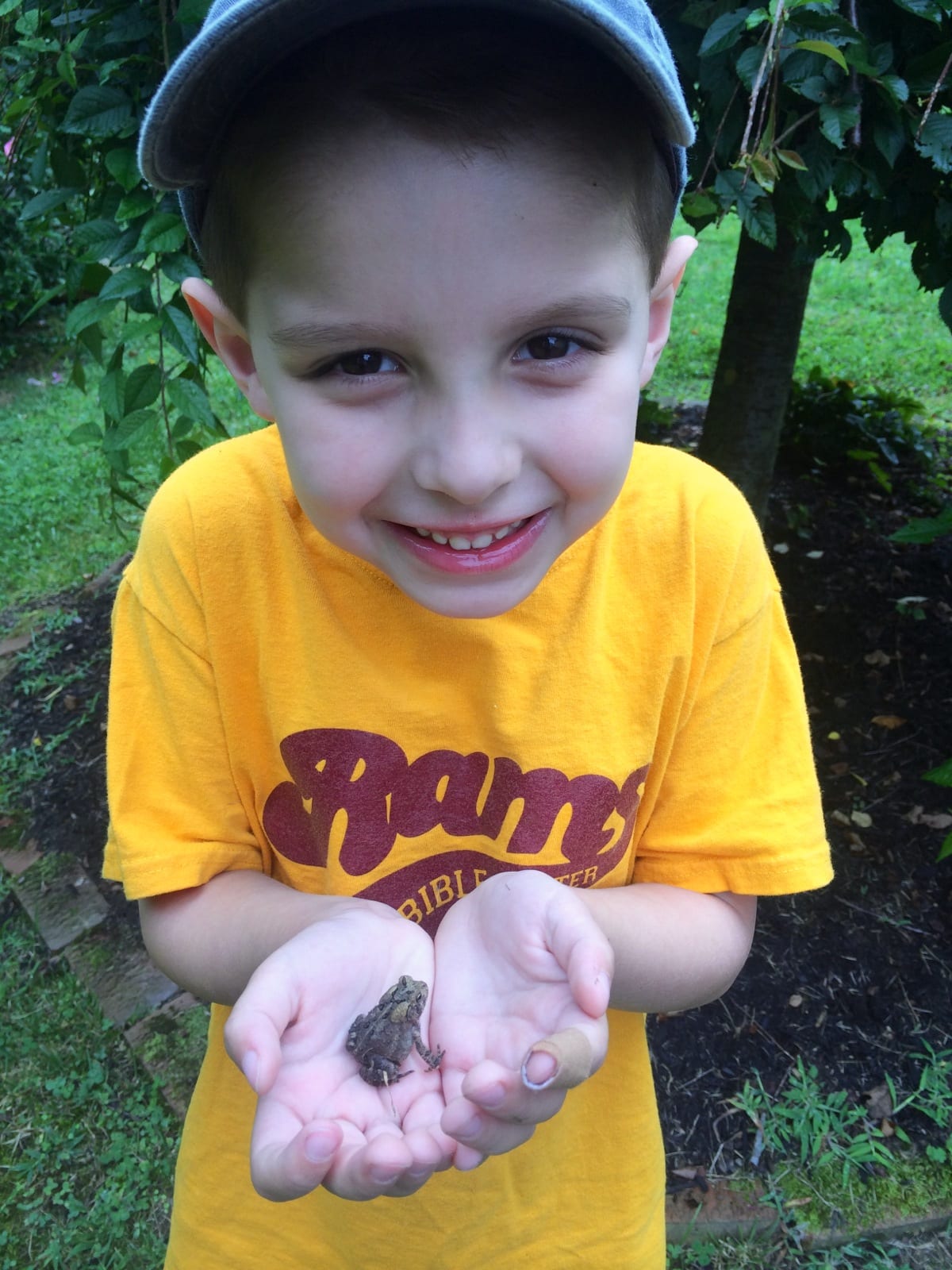 Tiny Toad