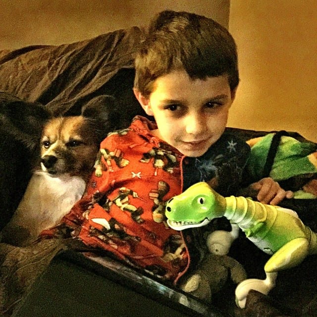 Daniel, dog, dinosaur.