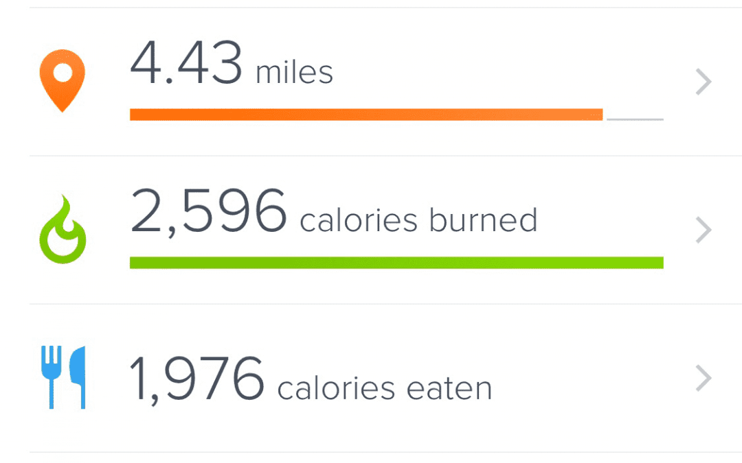 This is the kind of day I need to have to start losing weight