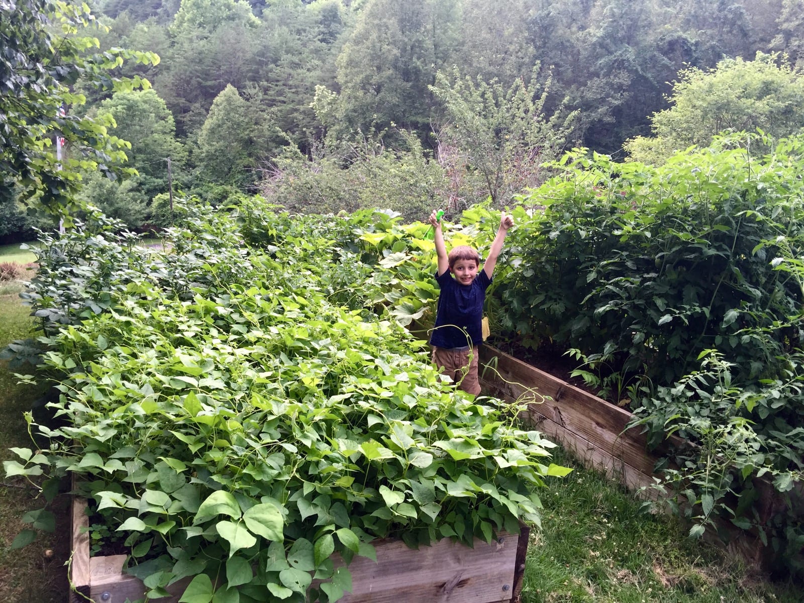 Kristen’s Garden has Grown!