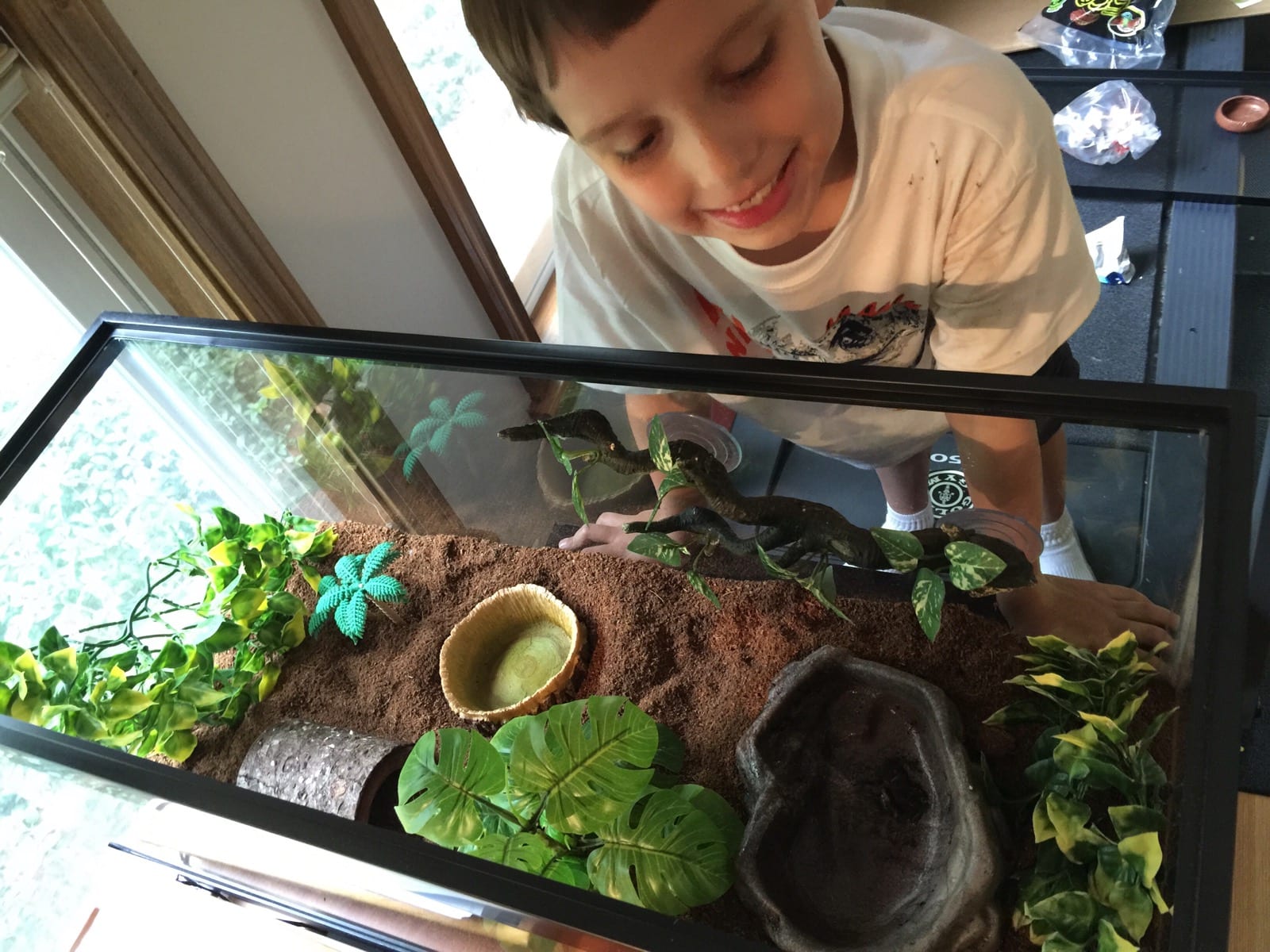 We upgraded Daniel’s terrarium from a 10 to 20 gallon aquarium