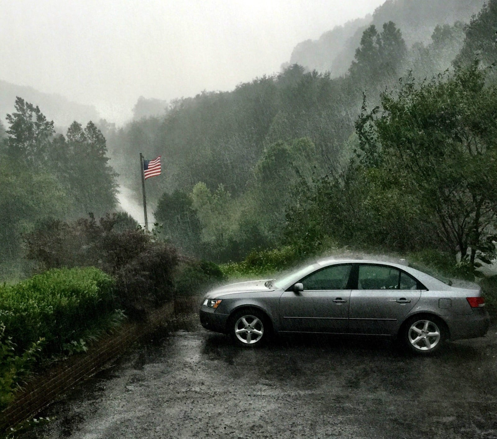 Natures Car Wash