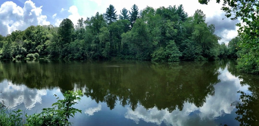 Pano Pic of Pettigrew Lake