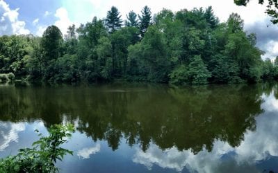 Pano Pic of Pettigrew Lake