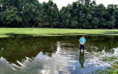 Biggest puddle ever!