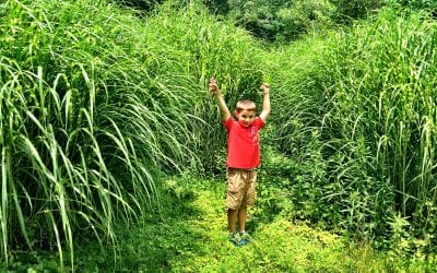 Wild man in the weeds