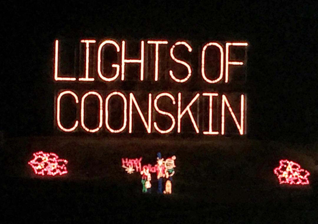Kids really enjoyed the lights in the park this year