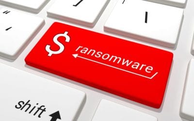 Ransomware Seen as Growing Cyber Threat