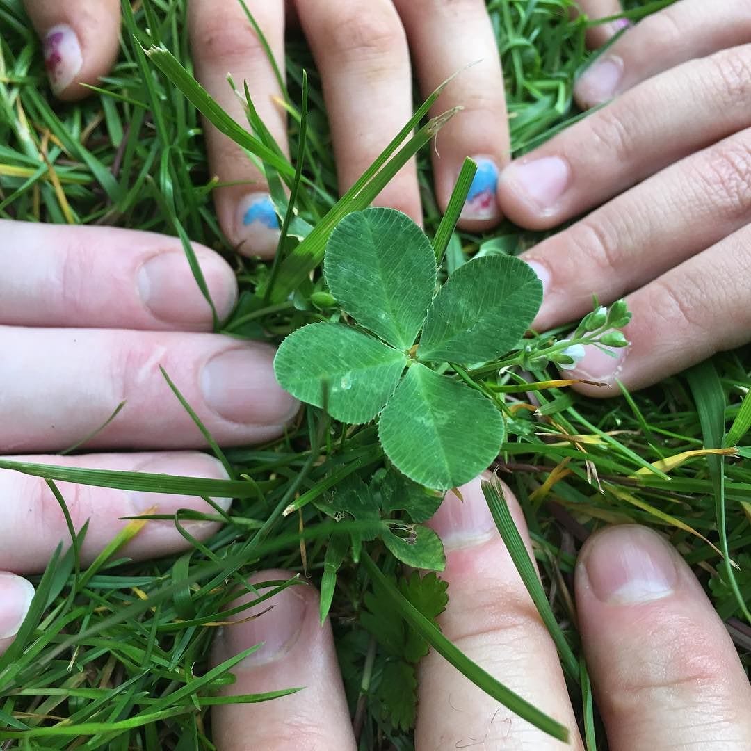 Out in the yard with Kristen near her garden. All of us just found this together. #fourleafclover