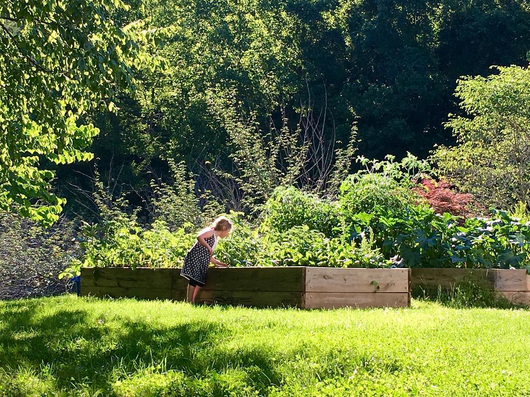 Lily checking in on Kristen’s garden