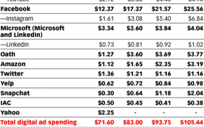 The Digital Advertising Duopoly