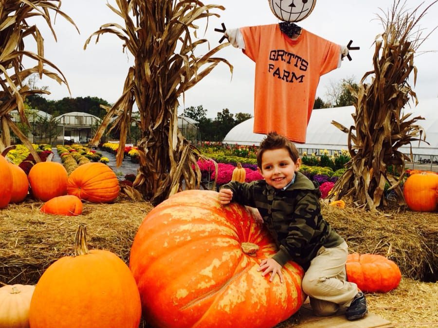 Pumpkin Party
