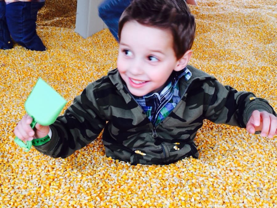 Too Much Corn