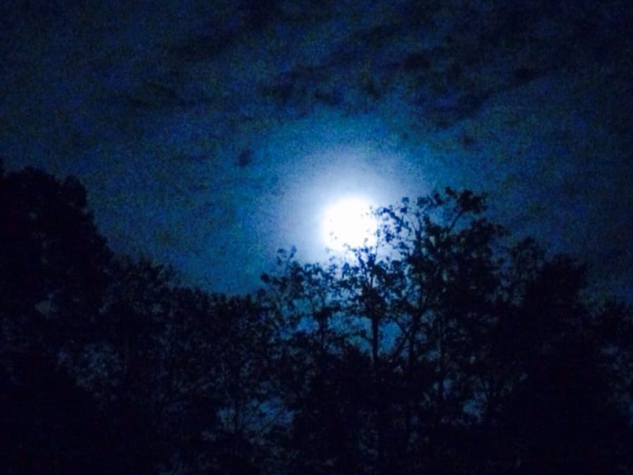 Moonrise