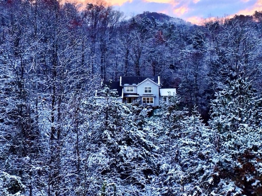 Our snowy nest