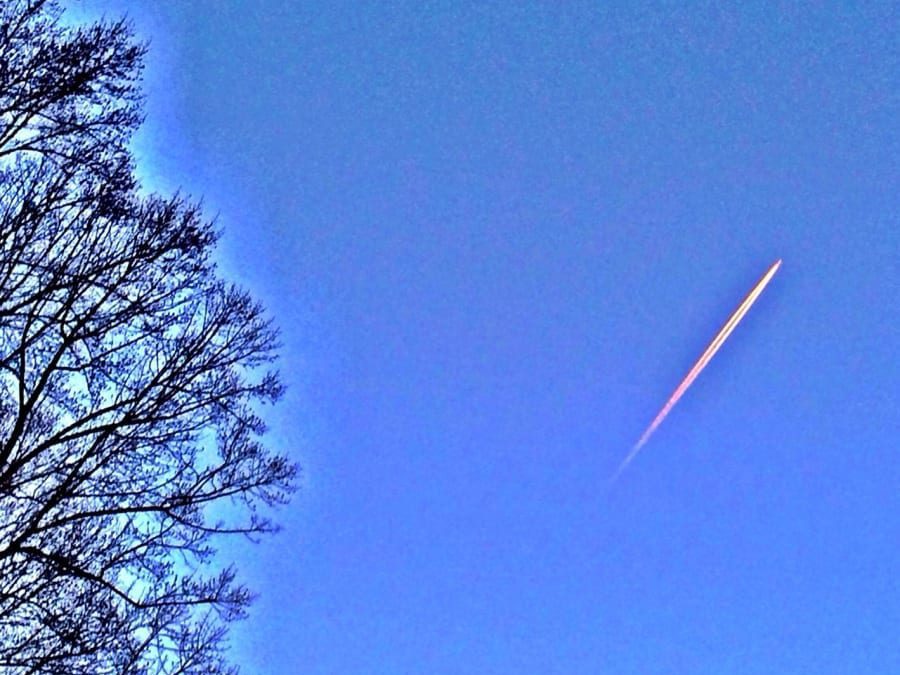 Fly away
